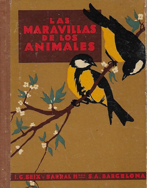 01927 510x652 - LAS MARAVILLAS DE LOS ANIMALES