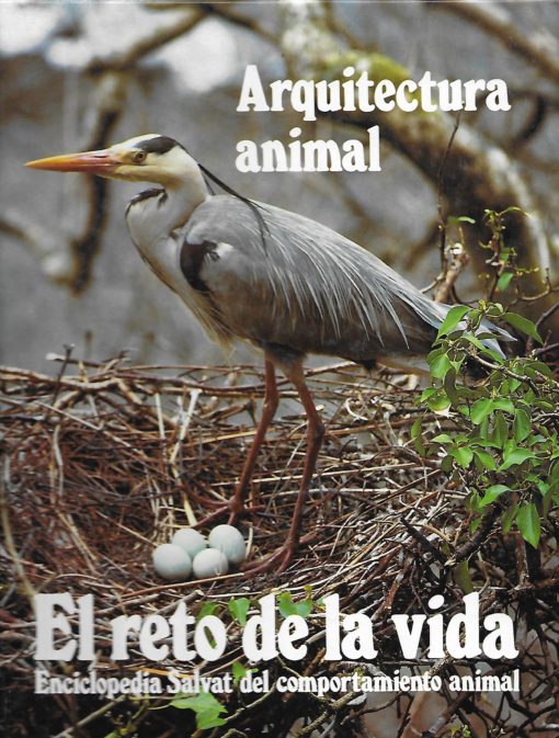 06516 510x673 - ARQUITECTURA ANIMAL EL RETO DE LA VIDA