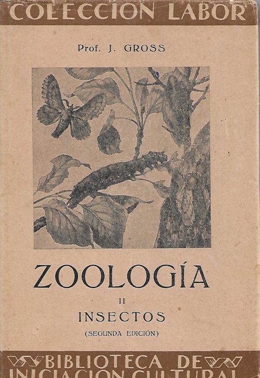 13690 510x740 - ZOOLOGIA II INSECTOS