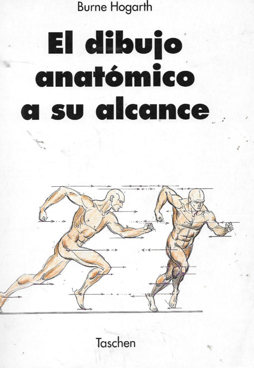 20258 2 510x737 - EL DIBUJO ANATOMICO A SU ALCANCE