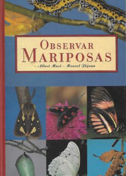 49774 247x346 - OBSERVAR MARIPOSAS