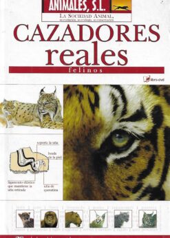 33234 247x346 - CAZADORES REALES FELINOS INCLUYE CD