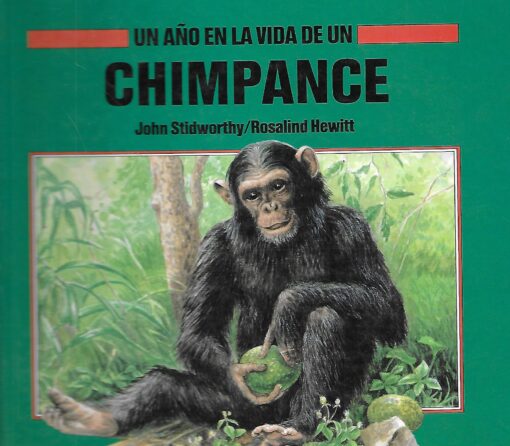 07846 510x446 - UN AÑO EN LA VIDA DE UN CHIMPANCE