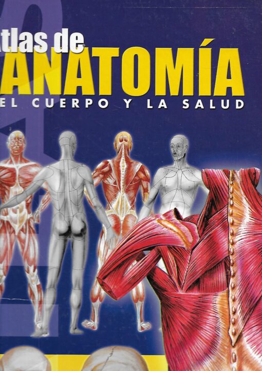 50354 510x721 - ATLAS DE ANATOMIA EL CUERPO Y LA SALUD