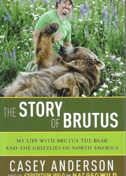 50696 247x346 - THE STORY OF BRUTUS