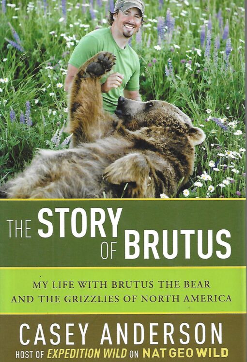 50696 510x747 - THE STORY OF BRUTUS