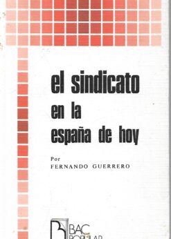 34096 247x346 - EL SINDICATO EN LA ESPAÑA DE HOY