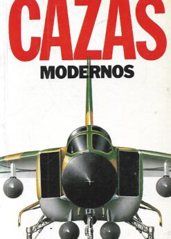 29413 247x346 - TECNOLOGIA MILITAR GUIA ILUSTRADA DE CAZAS MODERNOS