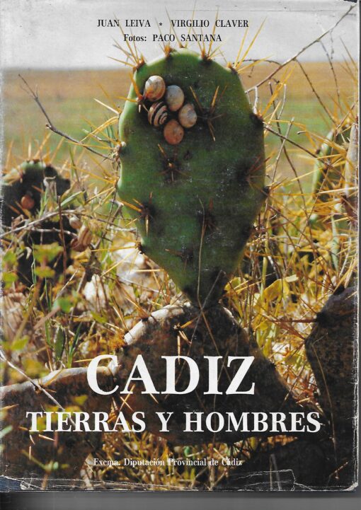 04263 510x721 - CADIZ TIERRAS Y HOMBRES