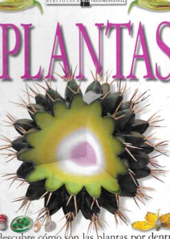 25127 247x346 - PLANTAS DESCUBRE COMO SON LAS PLANTAS POR DENTRO