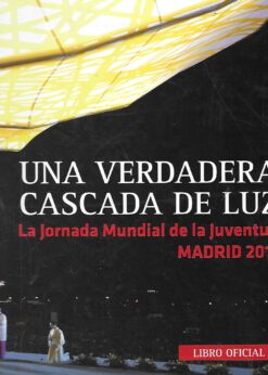 48071 247x346 - UNA VERDADERA CASCADA DE LUZ LA JORNADA MUNDIAL DE LA JUVENTUD MADRID 2011