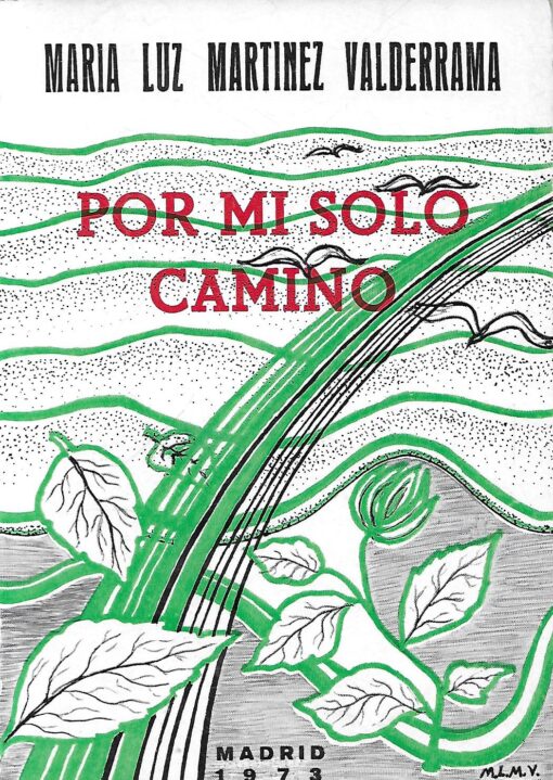 02637 510x719 - POR MI SOLO CAMINO