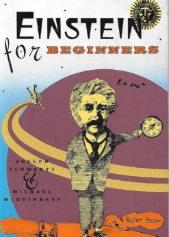 25067 247x346 - EINSTEIN FOR BEGINNERS