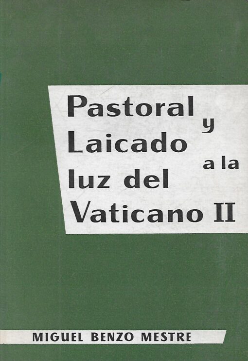 40537 510x740 - PASTORAL Y LAICADO A LA LUZ DEL VATICANO II