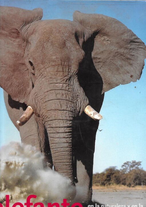 19546 510x721 - EL ELEFANTE EN LA NATURALEZA Y EN LA HISTORIA DE LA CIVILIZACION