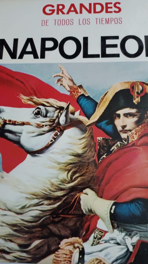 38031 510x907 - GRANDES DE TODOS LOS TIEMPOS NAPOLEON