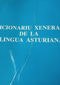 90489 247x346 - DICIONARIU XENERAL DE LA LLINGUA ASTURIANA