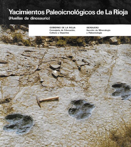 22938 510x573 - YACIMIENTOS PALEOICNOLOGICOS DE LA RIOJA HUELLAS DE DINOSAURIO