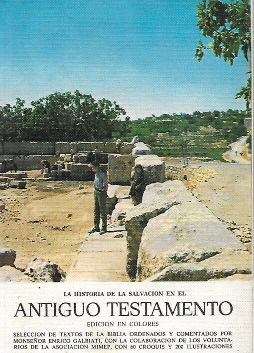 02530 510x710 - LA HISTORIA DE LA SALVACION EN EL ANTIGUO TESTAMENTO