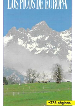 45328 247x346 - VISITA LOS PICOS DE EUROPA