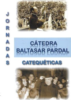 49254 247x346 - CATEDRA BALTASAR PARDAL JORNADAS CATEQUETICAS